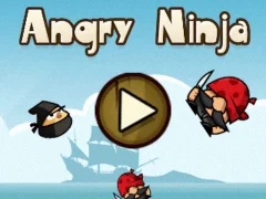 Angry Ninja — bezplatná online hra