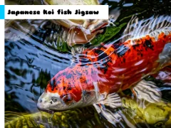Xogo Japanese Koi Fish Jigsaw en liña