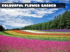 Colourful Flower Garden Jigsaw — لعبة مجانية اون لاين