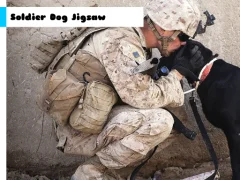 Xogo Soldier Dog Jigsaw en liña