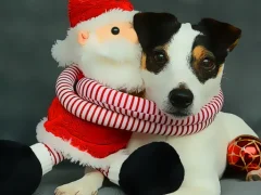 Xogo Funny Christmas Dogs en liña