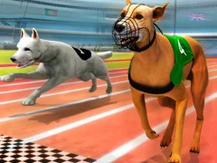 Xogo Dogs3D Races en liña