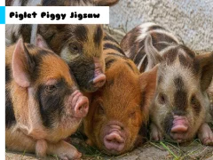 Piglet Piggy Jigsaw — لعبة مجانية اون لاين