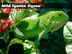 Wild Iguana — لعبة مجانية اون لاين