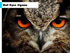 Xogo Owl Eyes Jigsaw en liña