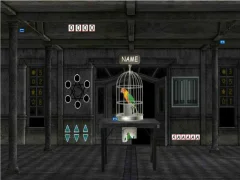 Igra Parrots Escape online