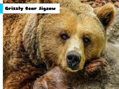 Grizzly Bear Jigsaw — لعبة مجانية اون لاين