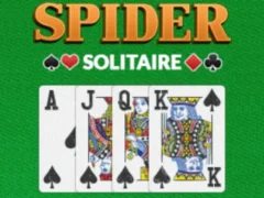 游戏Spider Solitaire Pro在线