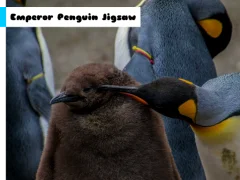 Emperor Penguin Jigsaw — لعبة مجانية اون لاين