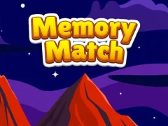 Spill Memory Match online