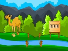Rescue The Hungry Camel — لعبة مجانية اون لاين