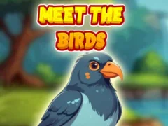 Meet The Birds  — لعبة مجانية اون لاين