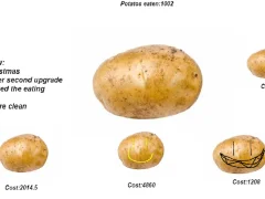 Гаме Potato онлајн