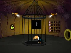 Toucan Rescue — لعبة مجانية اون لاين