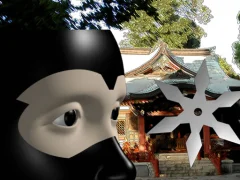 Ninja Academy — 無料オンラインゲーム