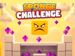 Spill Sponge Challenge online