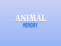 Spil Animals Memory online