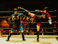 Fighters in the Ring — لعبة مجانية اون لاين
