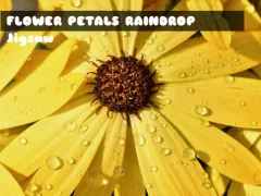 Laro Flower Petals Raindrop Jigsaw online