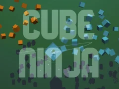 Spel Cube Ninja på nätet