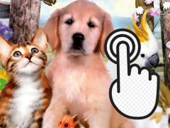 Pets Clicker — bezmaksas tiešsaistes spēle
