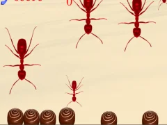 Spill Smash All Ants online