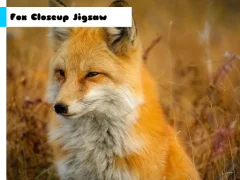 Xogo Fox Closeup Jigsaw en liña