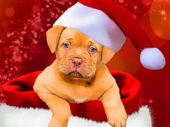 Christmas Dogs Styles — لعبة مجانية اون لاين