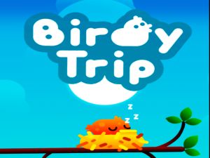 Birdy Trip