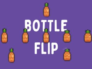 Bottle Flip
