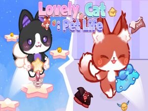 Lovely Cat Pet Life