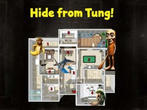 Hide From Tung!