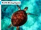 Turtle Diving Jigsaw — free online game