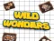 Wild Wonders