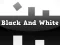 Black and White  — free online game