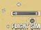 Flight Sim — free online game