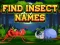 Igra Find Insects Names online