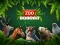 ZOO Trivia — free online game