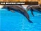 Sea Dolphin Jigsaw — free online game
