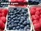 Berries Jigsaw — free online game