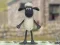 Shaun the Sheep: Woolly Jumper!