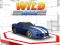 Wild Race