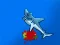 Shark Attack