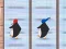 Penguin Fish Run