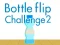 Bottle Flip Challenge 2