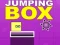 Jumping Box 