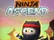 Ninja Ascend