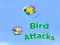 Birds Attacks