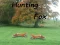 Hunting Fox
