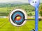 Archery World Tour
